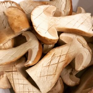 Les champignons, stars des ateliers à la Villa des Chefs