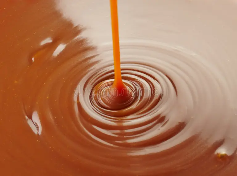 Lire la suite à propos de l’article SAUCE CARAMEL DE MISO