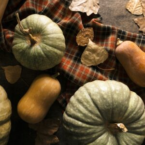 Lire la suite à propos de l’article Les Cucurbitacées : Trésors d’Automne et Pépites Gourmandes